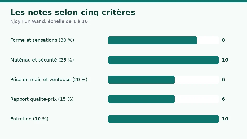 Notes de Njoy Fun Wand selon cinq critères : 8 pour la stimulation et la forme, 10 pour le matériau et la sécurité, 6 pour la prise en main, 6 pour le rapport qualité-prix et 10 pour l’entretien et l’autonomie