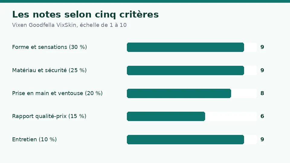 Notes de Vixen Goodfella VixSkin selon cinq critères : 9 pour la stimulation et la forme, 9 pour le matériau et la sécurité, 8 pour la prise en main, 6 pour le rapport qualité-prix et 9 pour l’entretien et l’autonomie