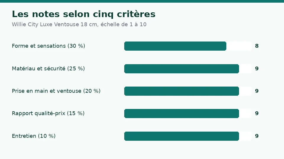 Notes de Willie City Luxe Ventouse 18 cm selon cinq critères : 8 pour la stimulation et la forme, 9 pour le matériau et la sécurité, 9 pour la prise en main, 9 pour le rapport qualité-prix et 9 pour l’entretien et l’autonomie